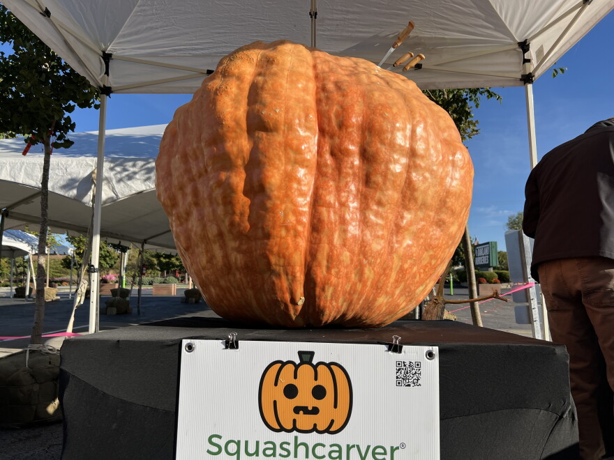 カーバー★名作レイアードハミルトン★36㌅18WB★CARVER✕ヤウ V4S5 Meet the Ohio pumpkin carver turning gourds into gallery pieces